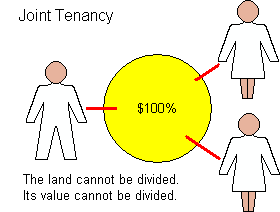 Possibility of a 'joint tenancy' type of ownership of the 20,000 square metre módulo rural.