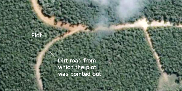 Aerial view of the dirt roads carved out of the tropical forest, somewhere between Caeté and Barão de Cocais, where the alleged plots of land were located.