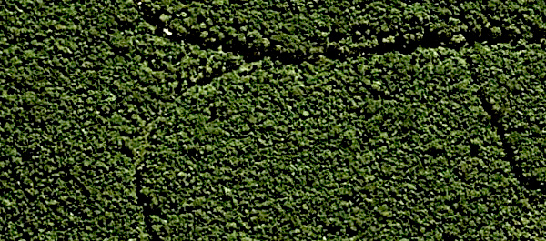 Aerial view of the same area, somewhere between Caeté and Barão de Cocais, several years later, evincing that none of the purchasers had been able to occupy the land they had reputedly bought.