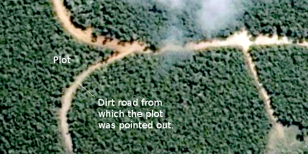 Aerial view of the dirt roads carved out of the tropical forest, somewhere between Caeté and Barão de Cocais, where the alleged plots of land were located.