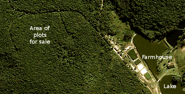 All the roads and demarcations overgrown once again by the tropical forest.