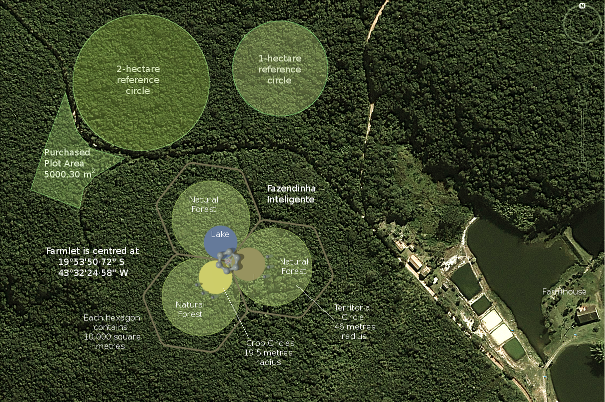Large area view of the tropical forest setting of the futuristic farmlet.