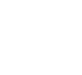 Air navigation functions: graph of the precess test cycle of the attitude reference gyro platform.