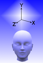 The Euclidean perception of space.