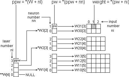 How the pointers relate to the whole structure of the weights arrays.
