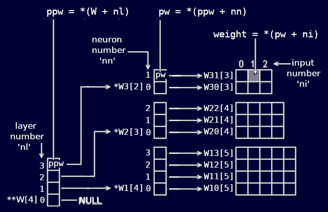 How the pointers relate to the whole structure of the weights arrays.