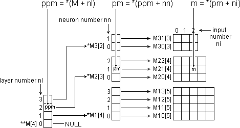 Pointer data structure for momentum values.