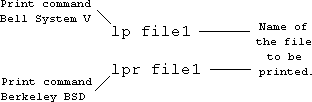 Unix commands to print the content of a file.
