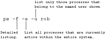 Annotated illustration of the switches for the Unix System V ps command.