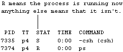 Annotated output produced by the Berkeley version of the ps command.