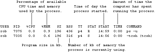 Annotated illustration of the detailed version of the switches applicable to the Berkeley version of the ps command.