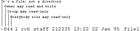 Fully annotated illustration of alternative output of the Unix 'ls -l' command.